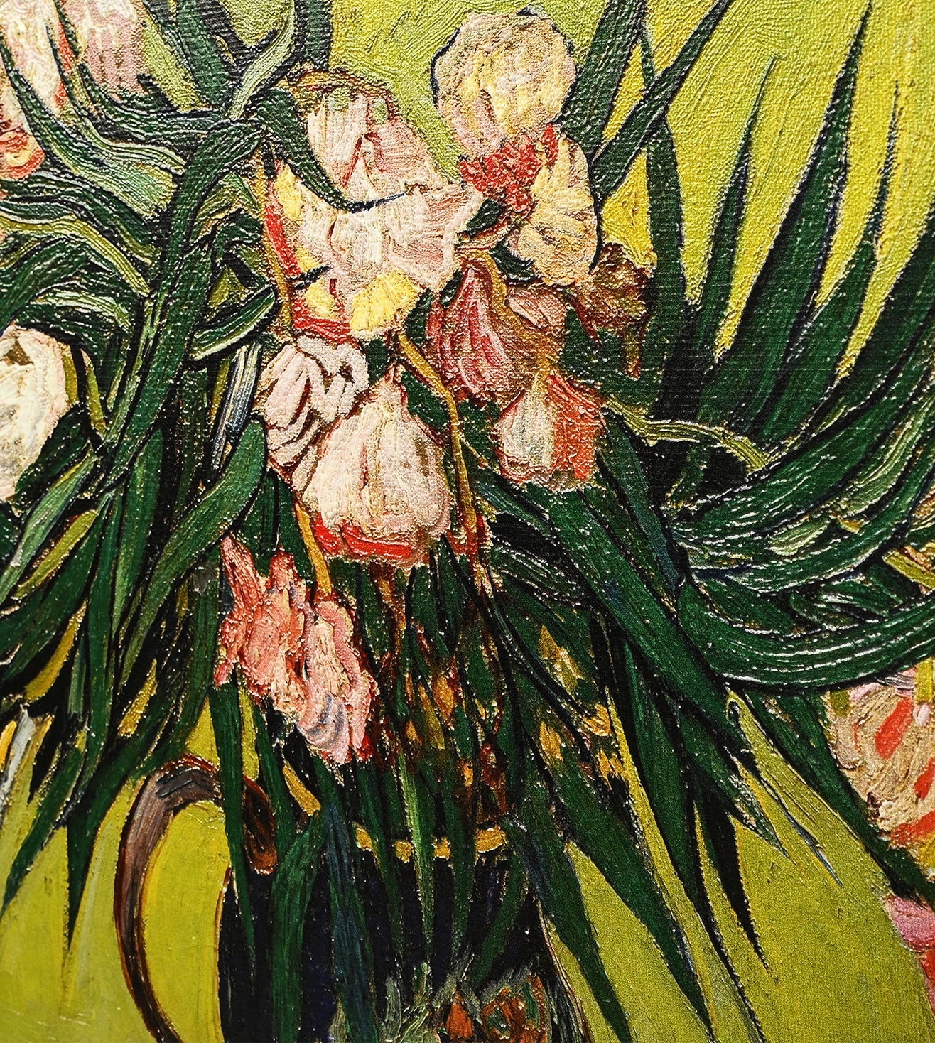 Oleander by Vincent Van Gogh