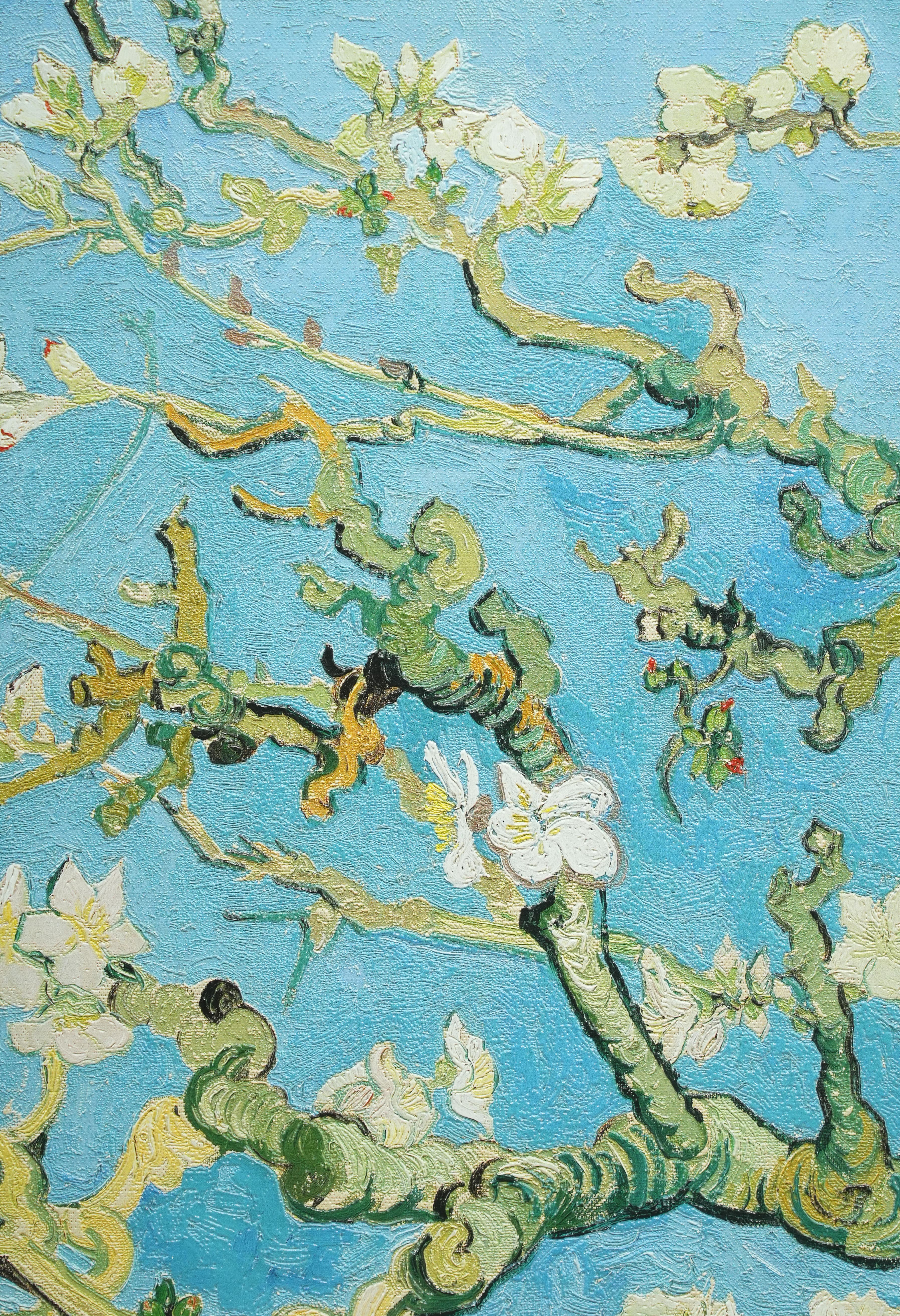 Masterpieces reproduced -