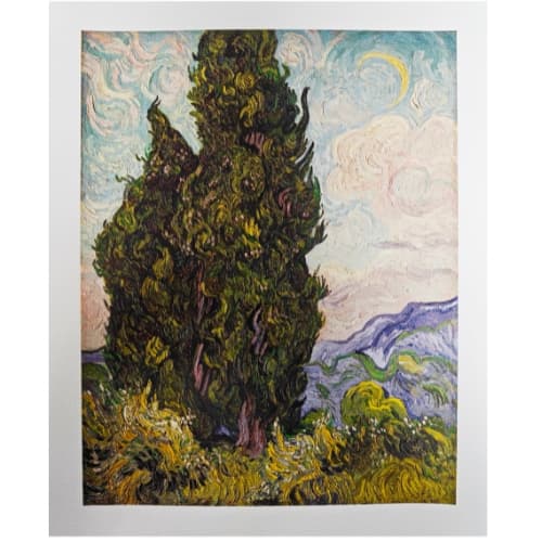 Cypresses - 1