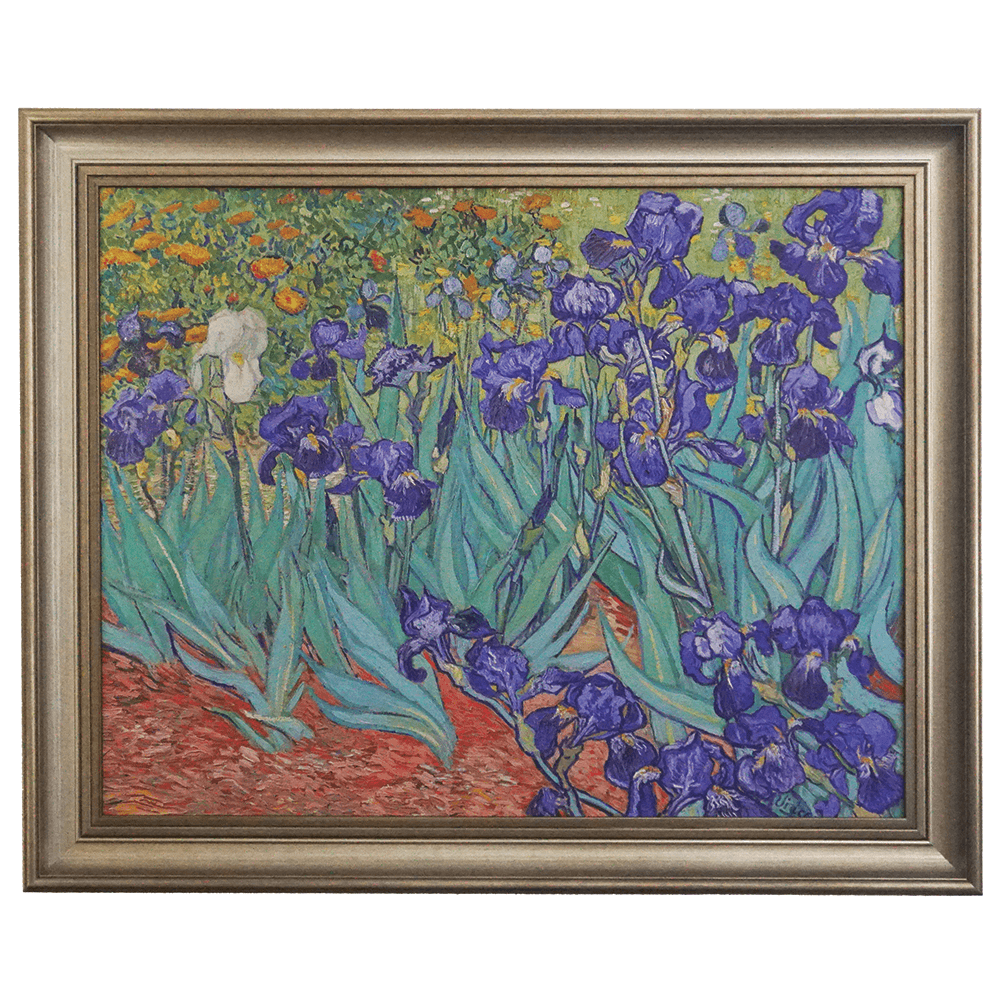 Irises - 1