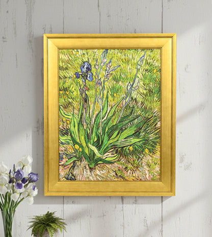 Iris by Vincent Van Gogh