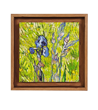 Wild Irises in Spring