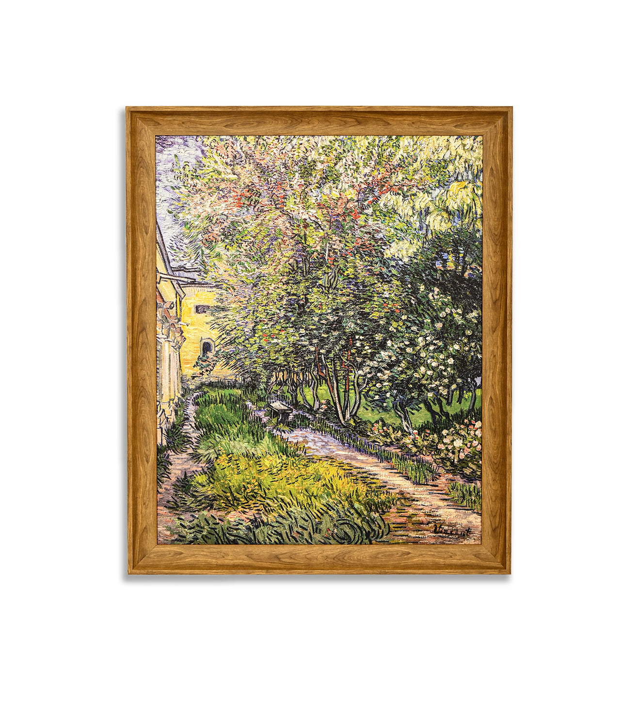 The Garden At The Asylum At Saint-remy by Vincent Van Gogh