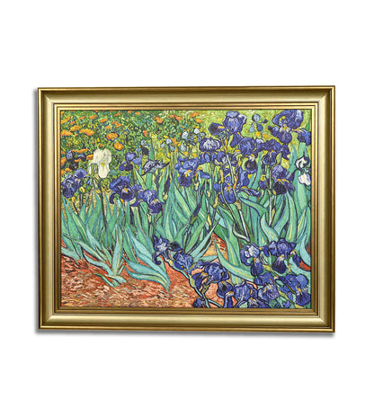 Iris by Vincent Van Gogh