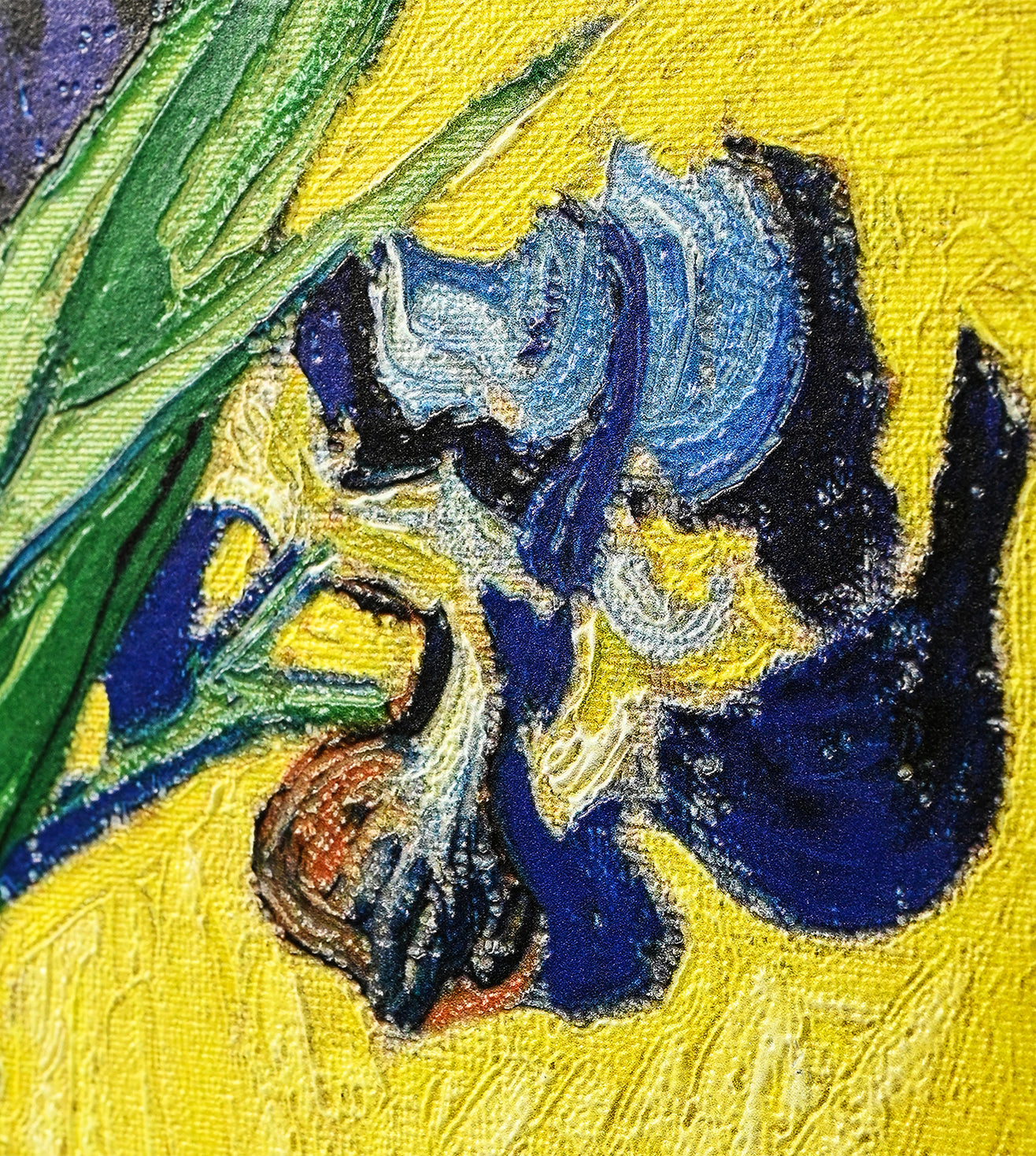 Iris by Vincent Van Gogh