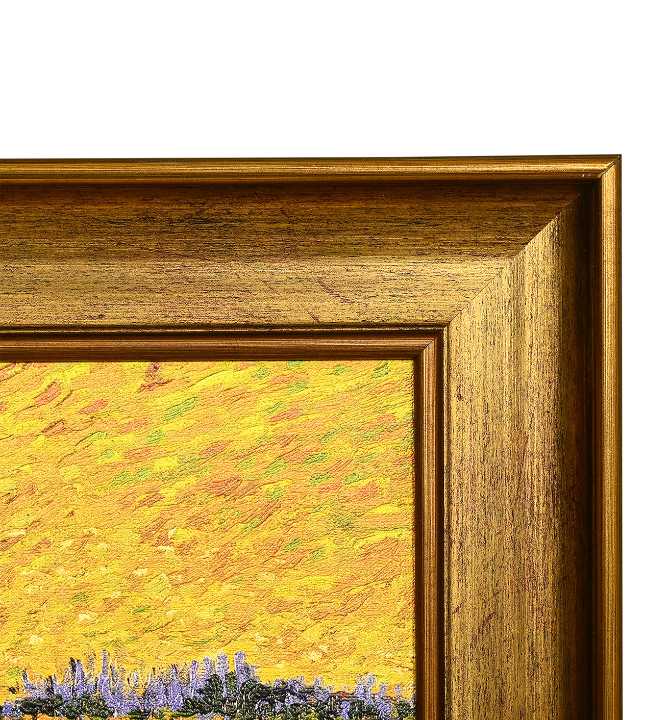 The Sower by Vincent Van Gogh