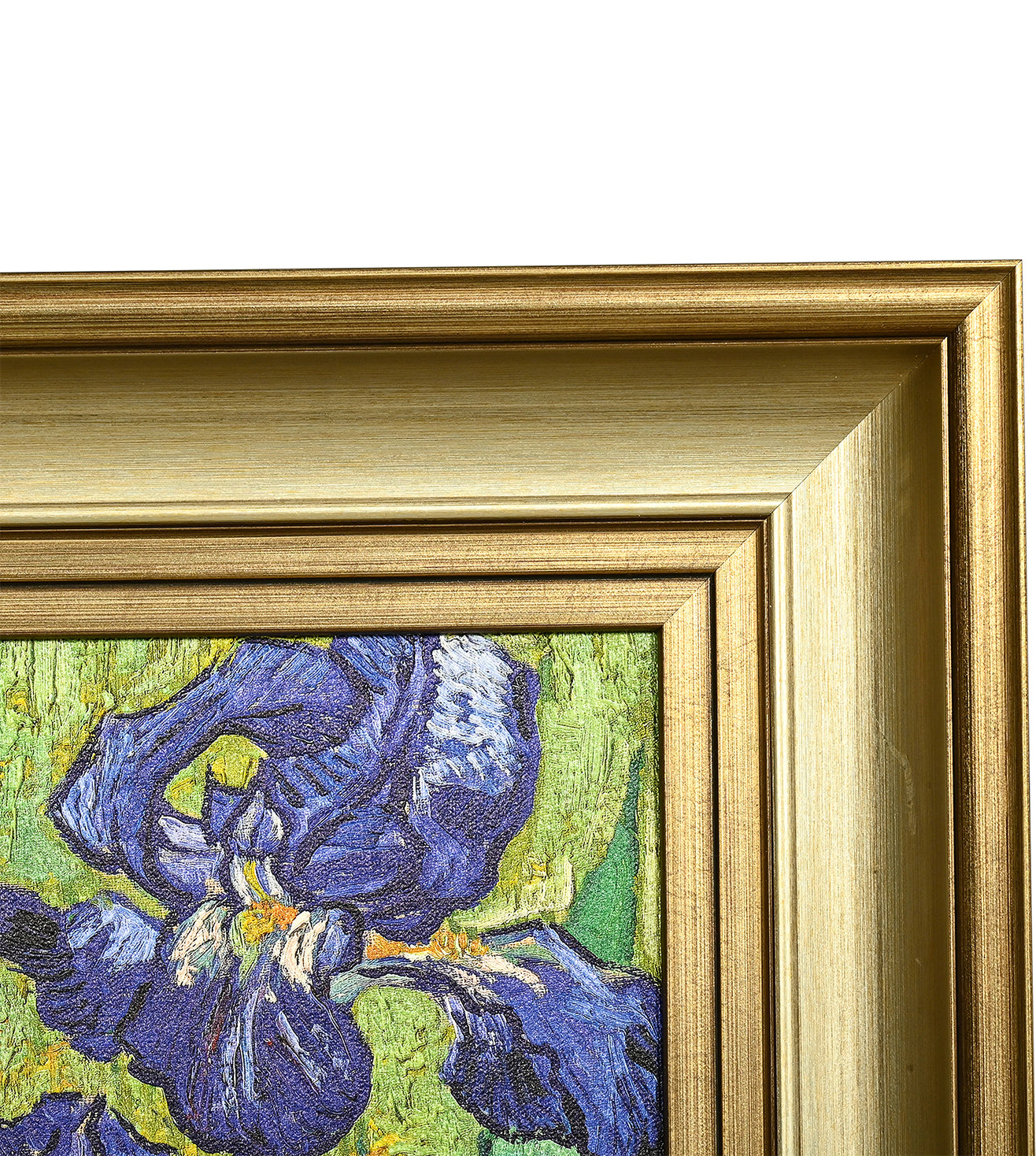 Iris by Vincent Van Gogh