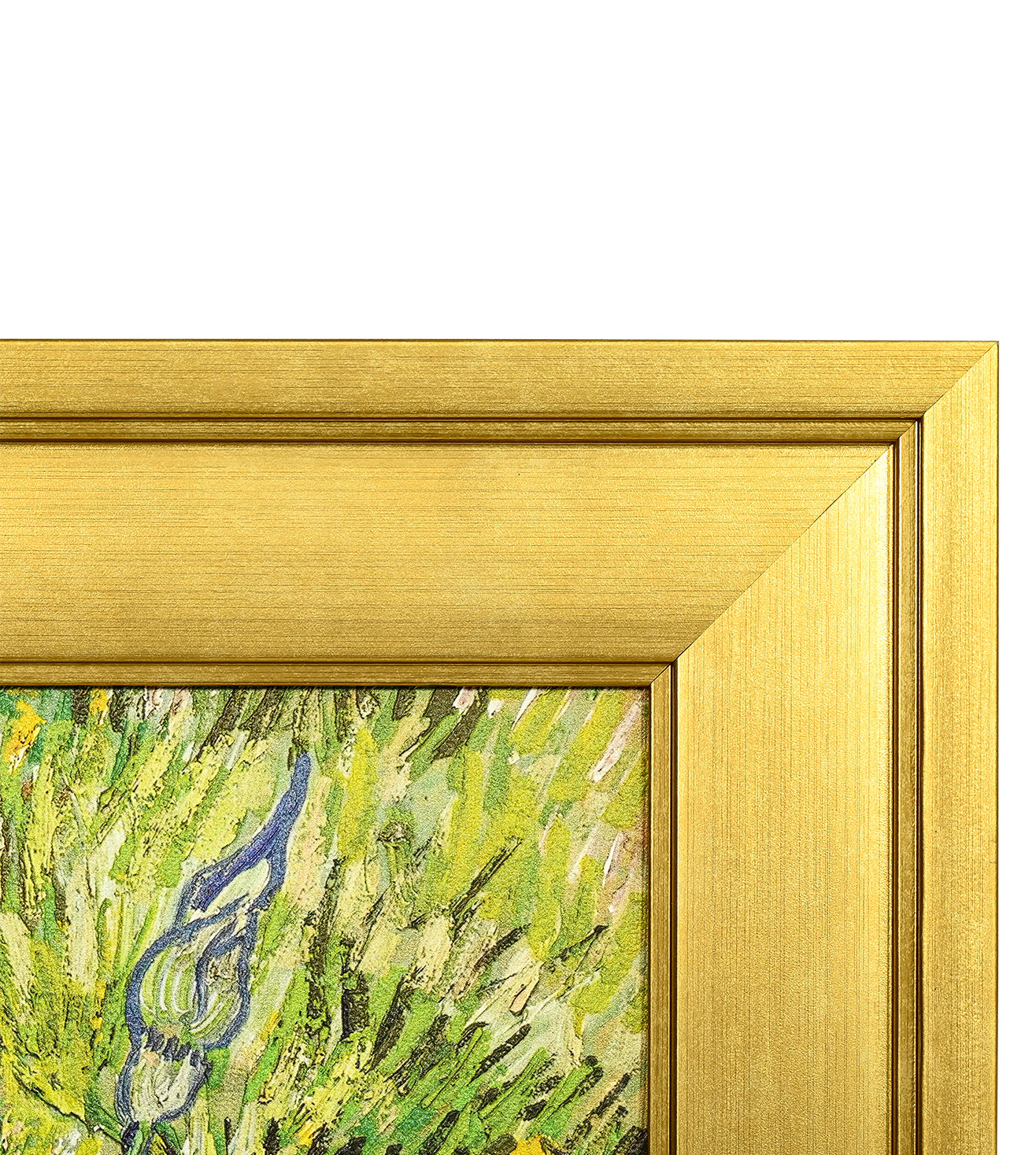 Iris by Vincent Van Gogh