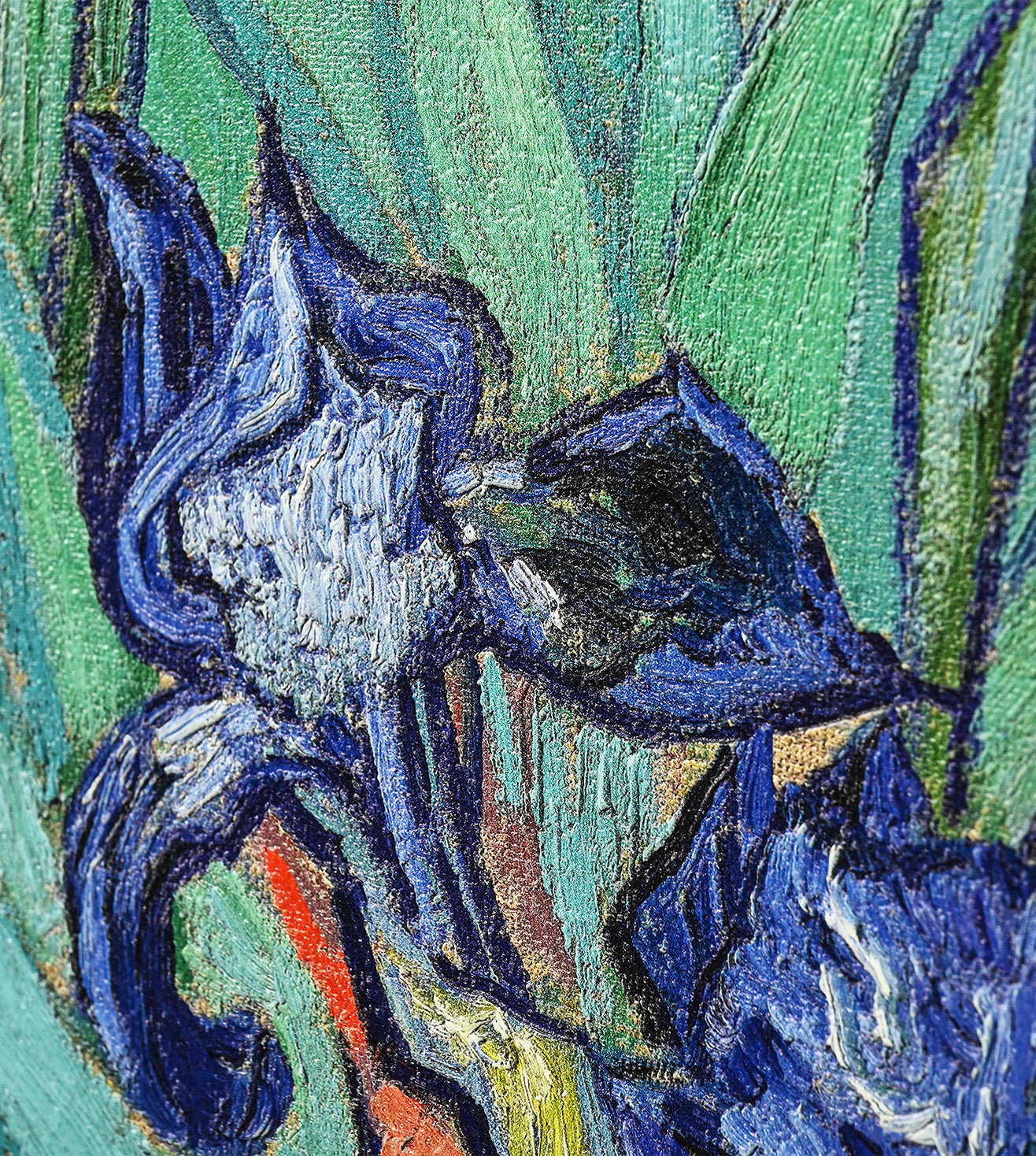 Iris by Vincent Van Gogh