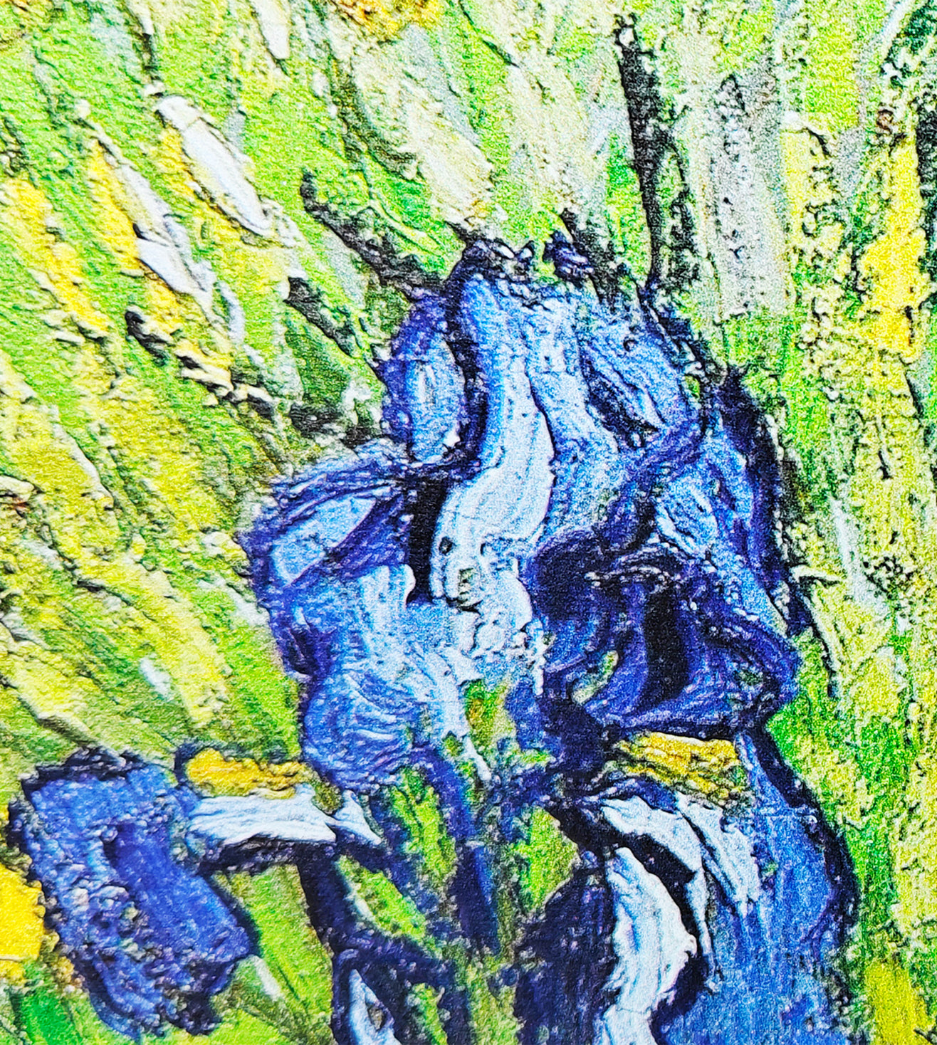 Wild Irises in Spring