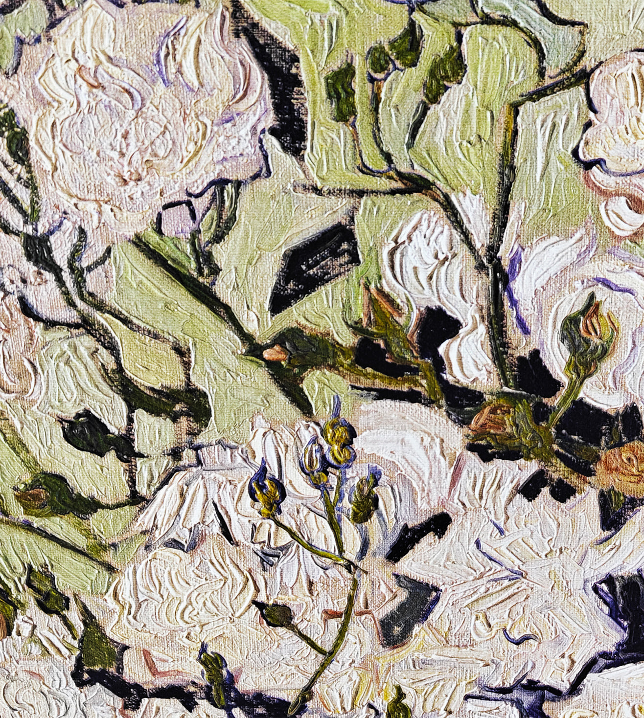 Roses by Vincent Van Gogh