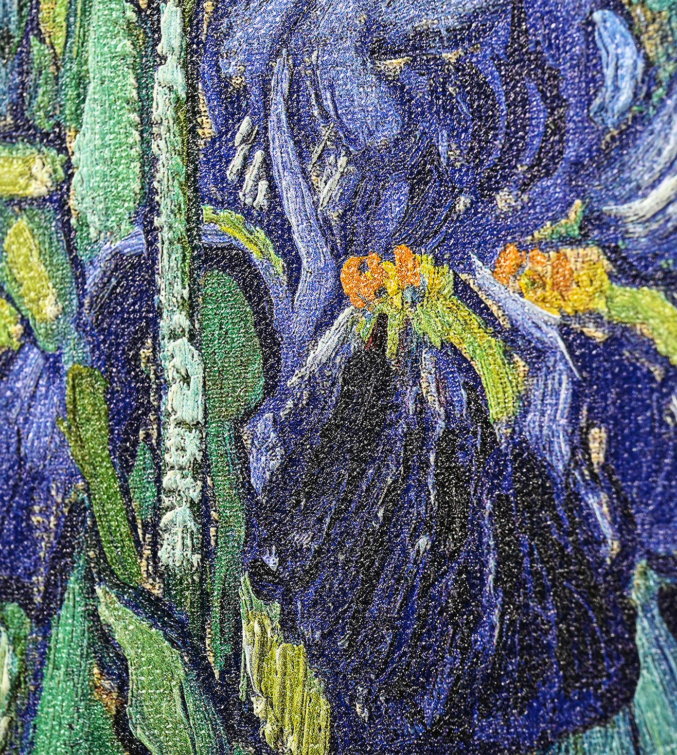 Iris by Vincent Van Gogh