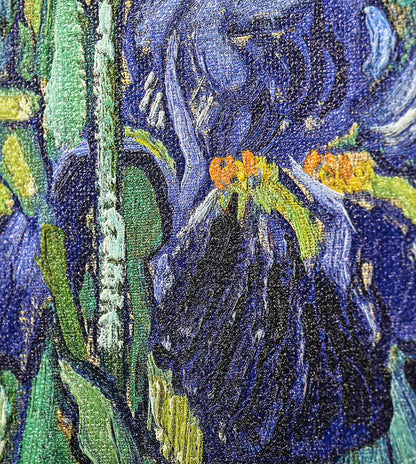 Iris by Vincent Van Gogh