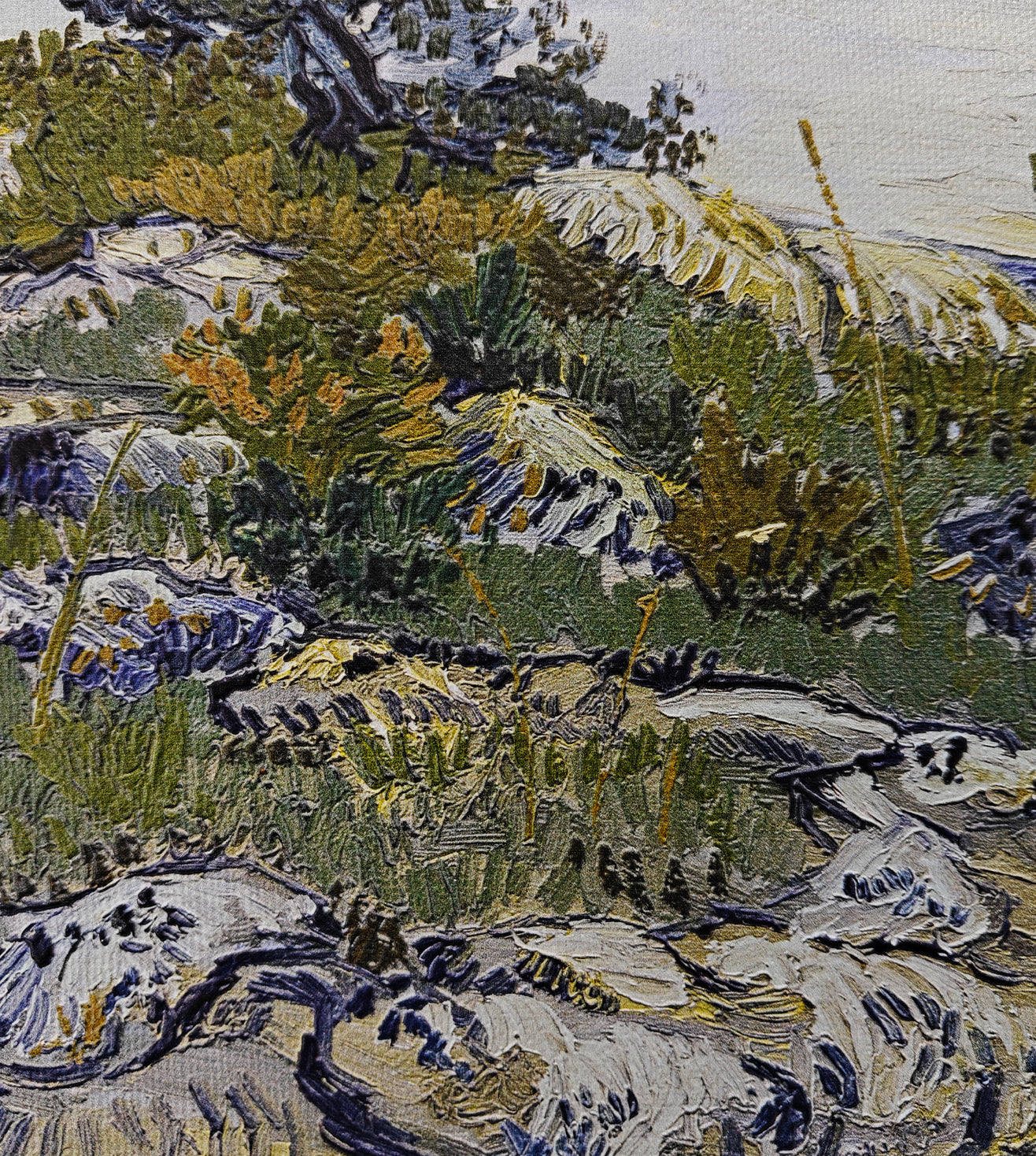 The Rocks by Vincent Van Gogh