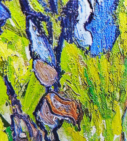 Wild Irises in Spring