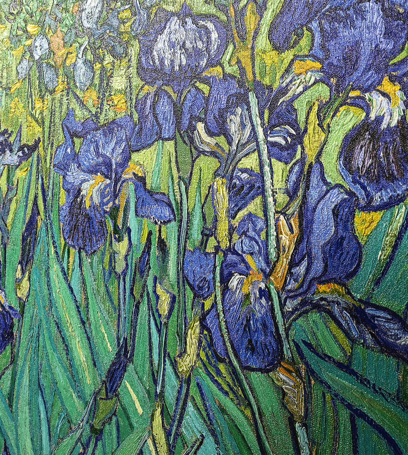 Iris by Vincent Van Gogh