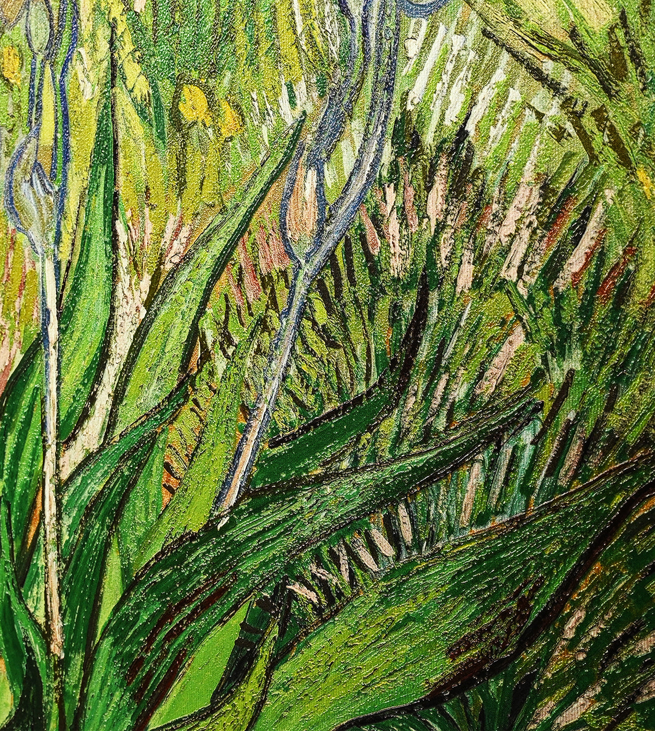 Iris by Vincent Van Gogh
