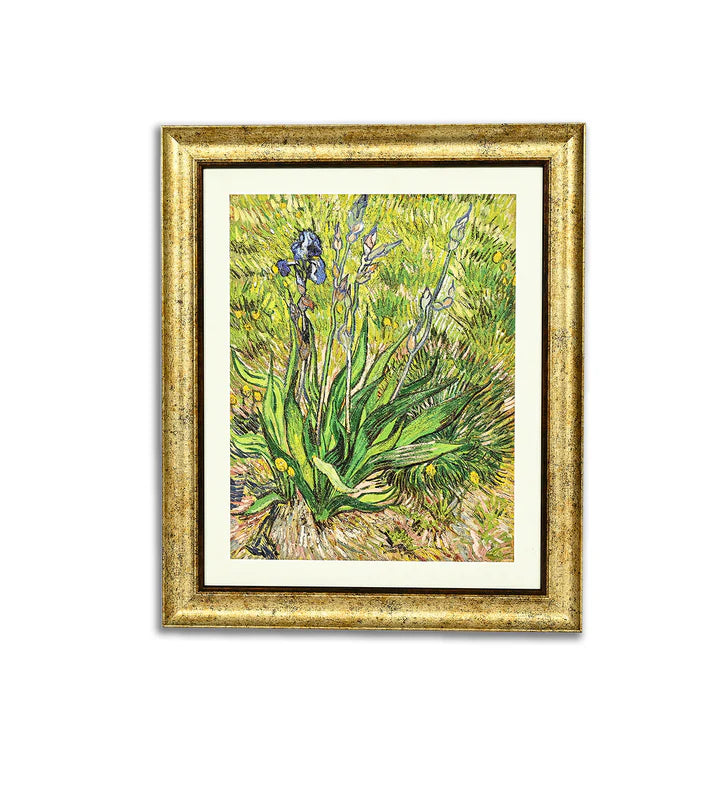 Iris by Vincent Van Gogh