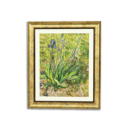 Iris by Vincent Van Gogh