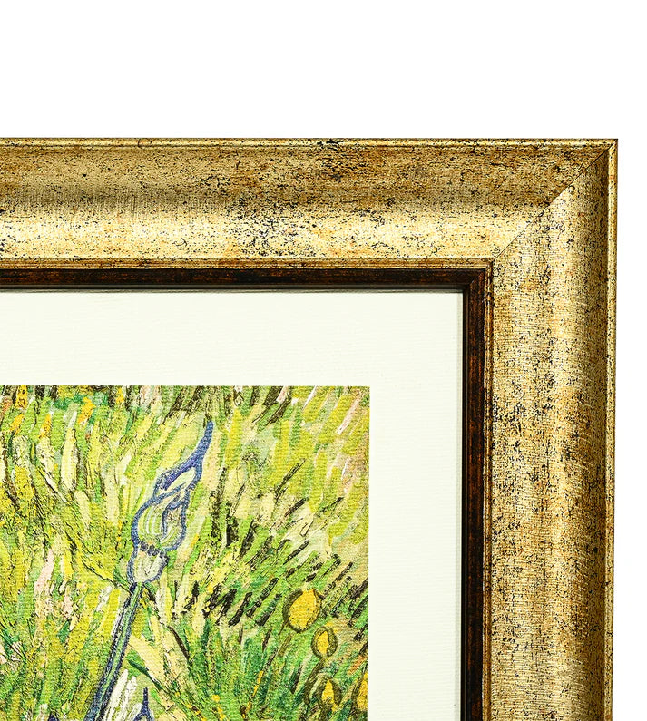 Iris by Vincent Van Gogh