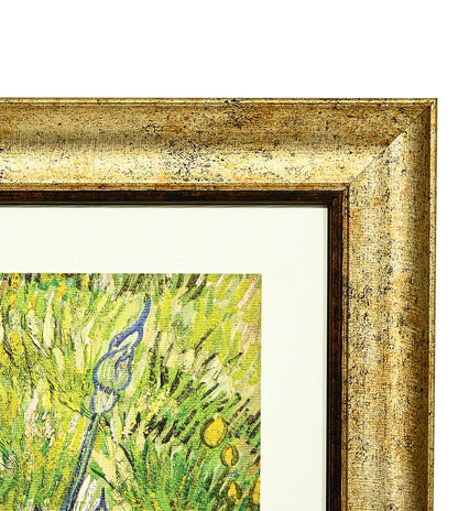 Iris by Vincent Van Gogh