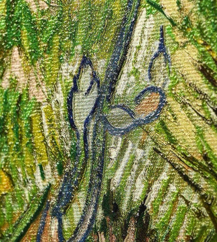 Iris by Vincent Van Gogh