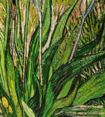 Iris by Vincent Van Gogh
