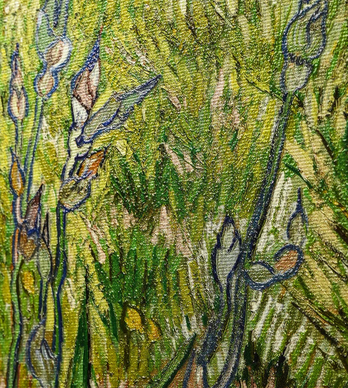 Iris by Vincent Van Gogh